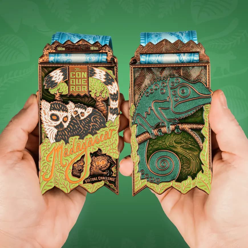 Madagascar Island medal