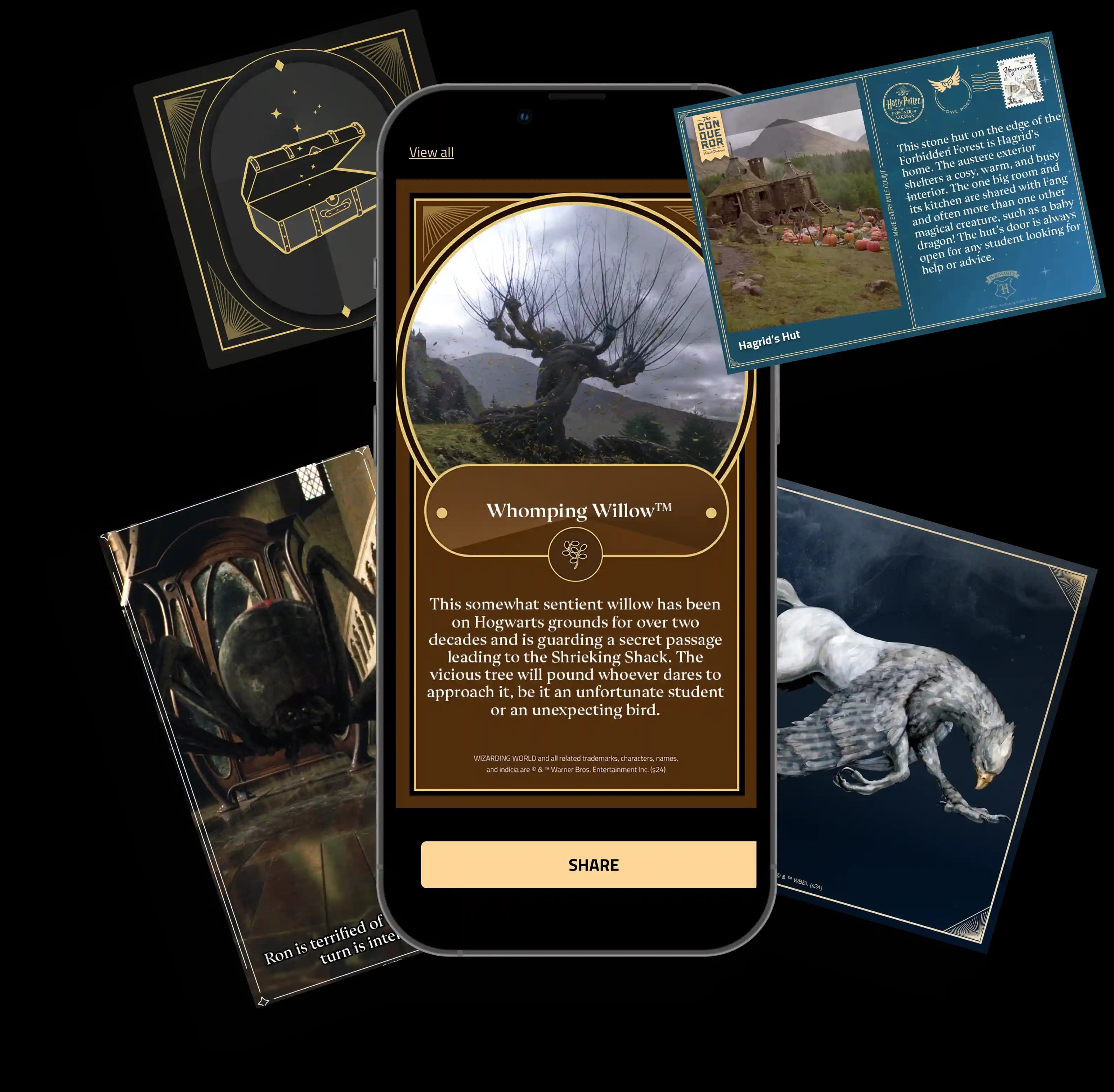 Exclusive Rewards & Surprises