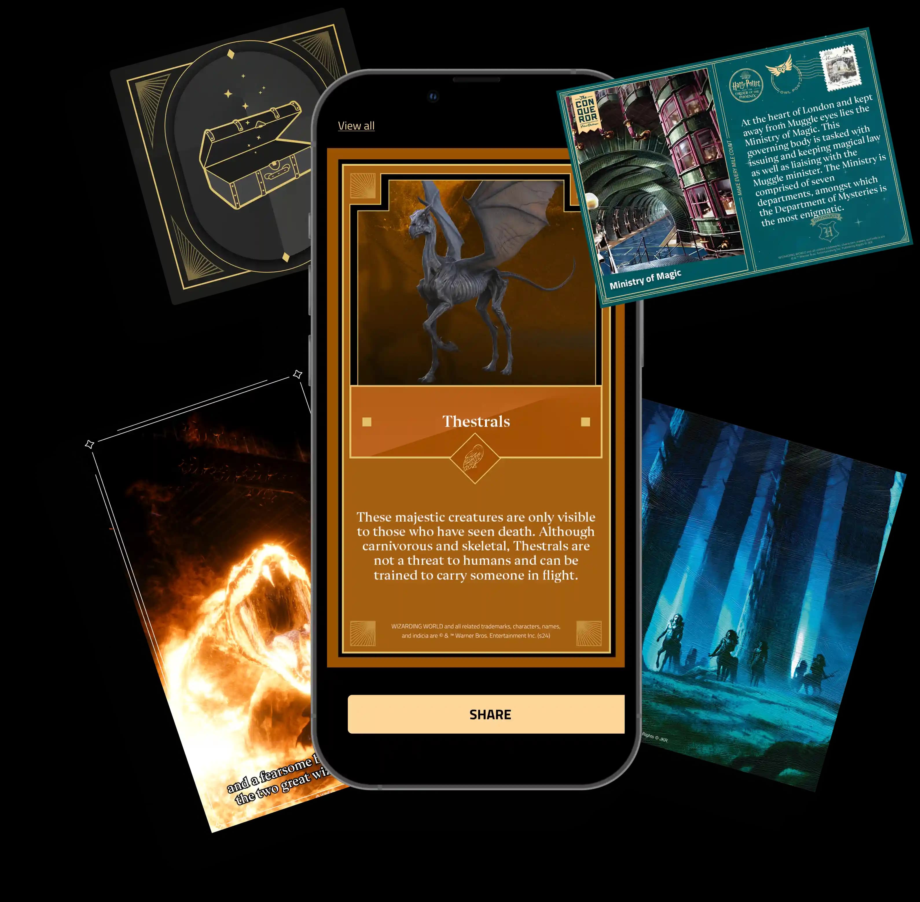 Exclusive Rewards & Surprises