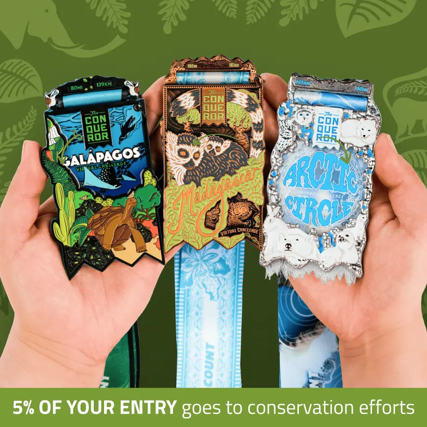 Animal Conservation 1st Edition