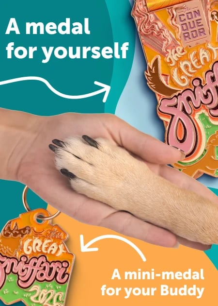 The Medal Set You Can Only Earn This Year