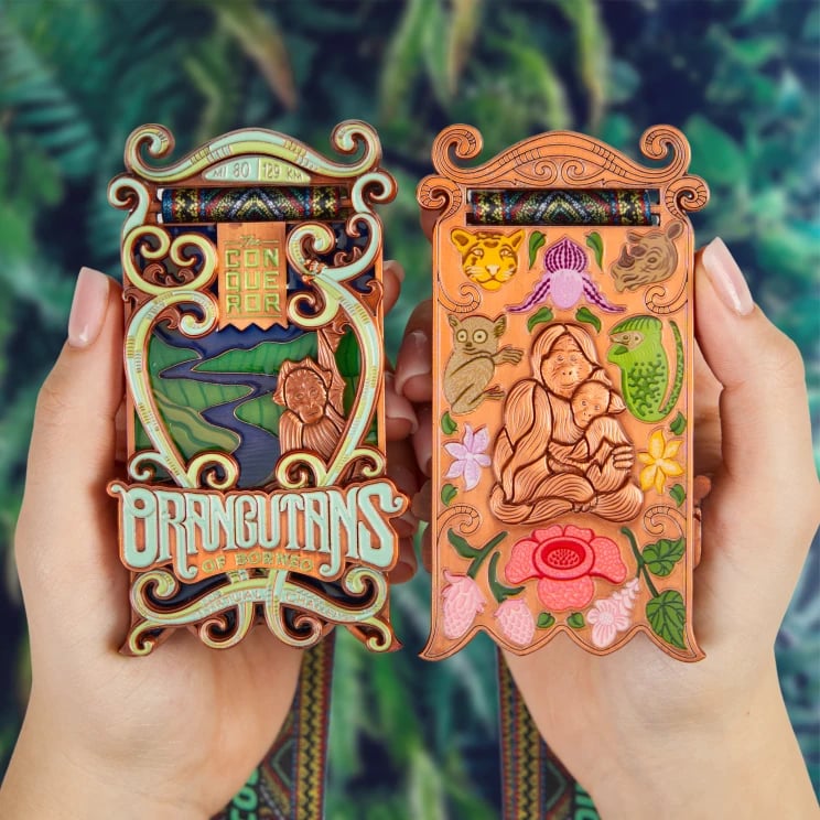 Orangutans of Borneo