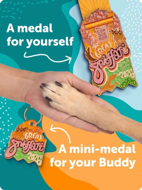 The Medal Set You Can Only Earn This Year