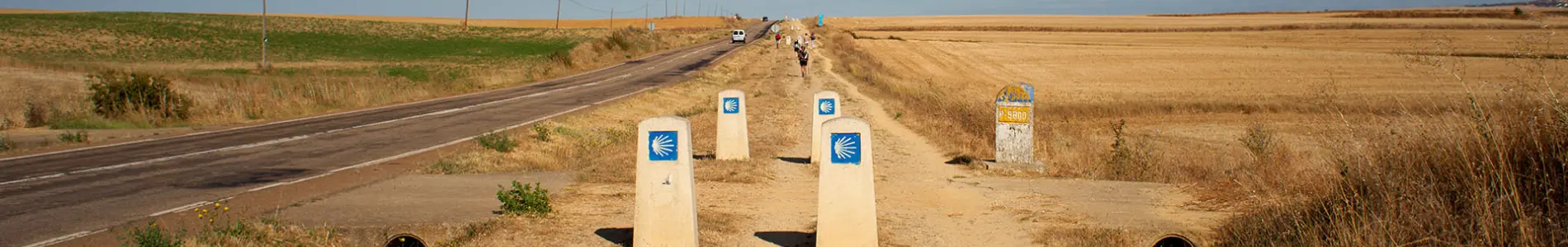 Camino de Santiago