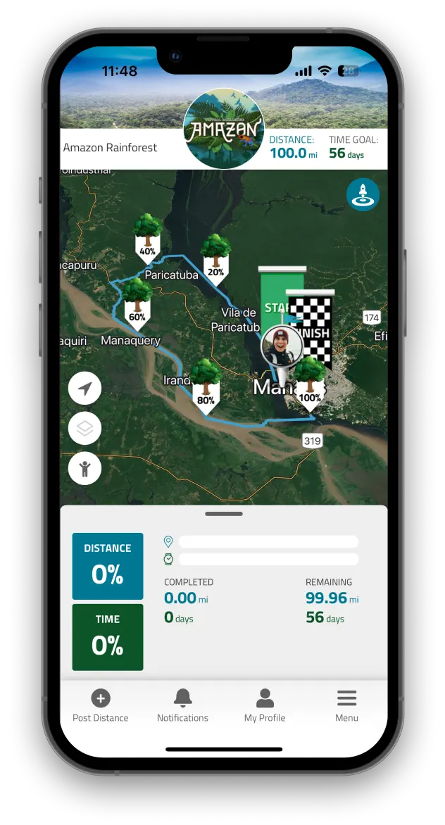 Virtually travel to Amazon Rainforest