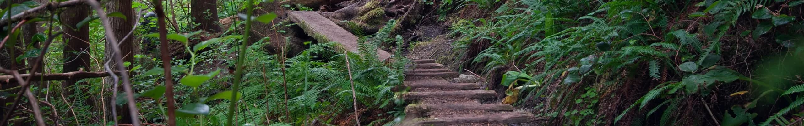West Coast Trail