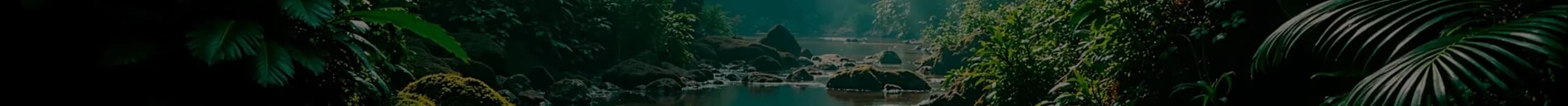 Animal Conservation Collection