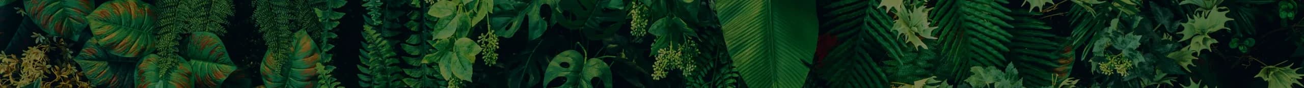 Animal Conservation 2nd Edition