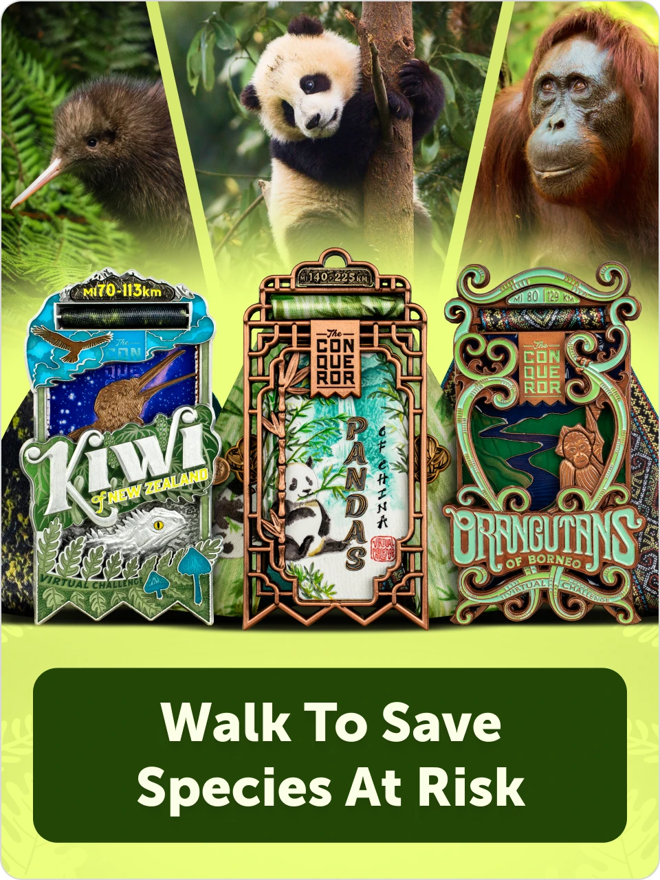 Explore Animal Conservation 2nd Edition